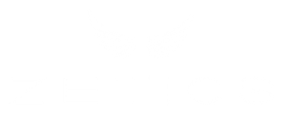 Zetics